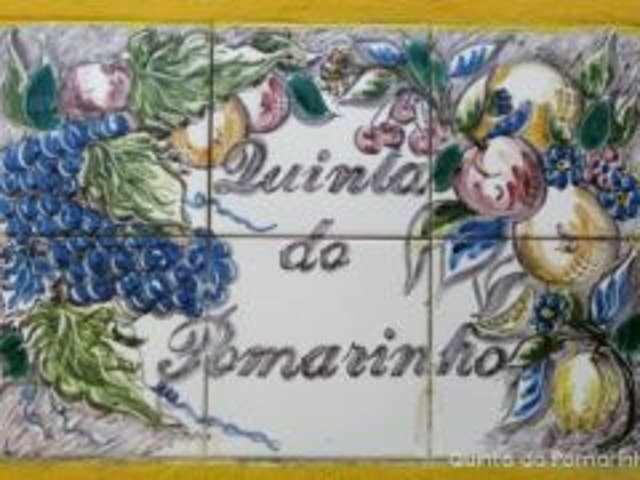 Quinta Do Pomarinho Villa Arouca Exteriör bild
